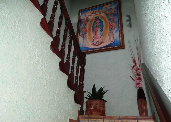 米赛诺庄园酒店 莱尔马