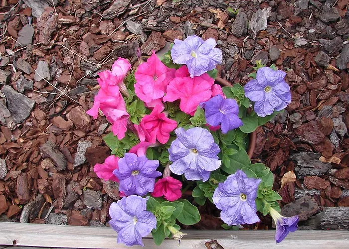 La Hacienda De Mi Senor מלון לרמה