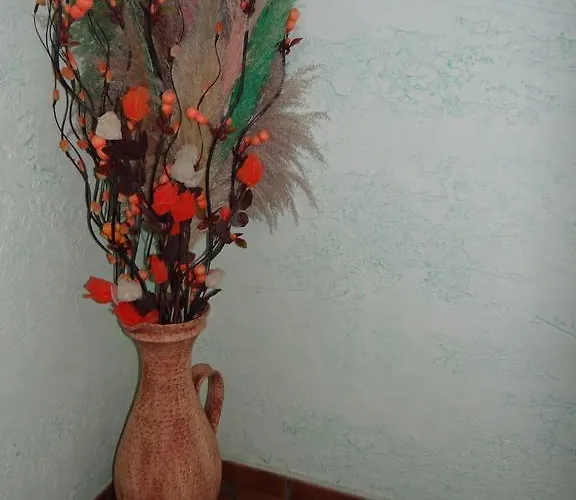 米赛诺庄园酒店 酒店 莱尔马